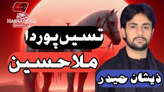 Zeeshan Haidar Nohay 2024  Tasy Por Da Malah Hussain as [upl. by Norton9]