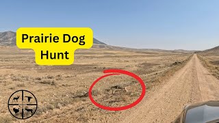 Plucking Prairie Dogs In Wyoming [upl. by Chemash]