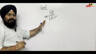 Morphology of Flowering Plants Lecture 03 [upl. by Eiramac]