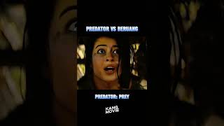 predator vs beruang movie alurfilm film [upl. by Monti119]