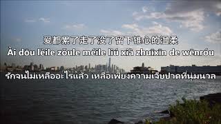 六哲  累了走了散了  Liu Zhe  Lei Le Zou Le San Le Lyrics  Pinyin  Thai แปลไทย [upl. by Iaverne]