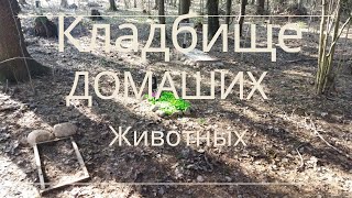 Кладбище домашних животных [upl. by Ecylahs]