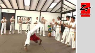 capoeira Hamburg im Zanshin Dojo [upl. by Aztiram130]