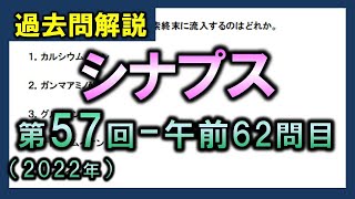 【過去問解説：第57回国家試験午前62問目】シナプス【理学療法士・作業療法士】 [upl. by Dami]