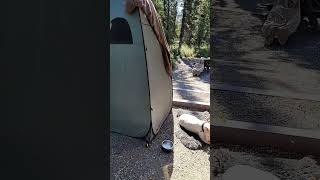 Denali Park Camping travel vanlife vantripping rileycreek denalinationalpark [upl. by Erasaec]