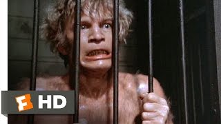 The Island of Dr Moreau 812 Movie CLIP  Youre the Animal 1977 HD [upl. by Tyne800]