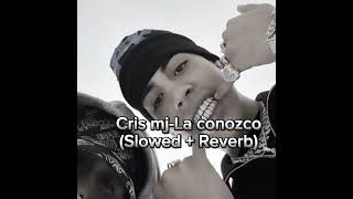 Cris mj La conozco Slowed  reverb [upl. by Ronnica]