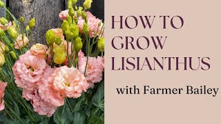 How to Grow Lisianthus with Farmer Bailey Hale [upl. by Peta]