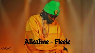 Alkaline  Fleek  DOOVS  Remix 2023 [upl. by Abernon645]