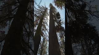 Hiking Lassen Volcanic National Park [upl. by Yerd148]