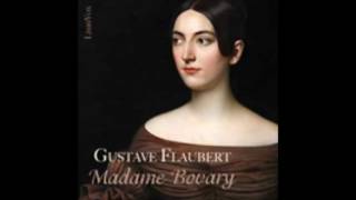 Madame Bovary 22  Gustave Flaubert  AudioBook FR [upl. by Cynar]