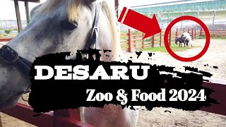 Singapore to Desaru motorcycle zoo and food l PART 2 [upl. by Yelrah898]