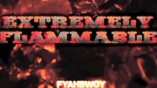 Fyahbwoy  Reggae Vybz  Extremely Flammable  2012 [upl. by Yorel]