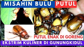 Cara Misahin Bulu putul  rampal  katimumul  mumul yang Viral Ekrim Kuliner di Gunungkidul [upl. by Arretak]