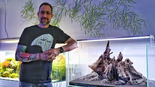 Simple yet Stunning Hardscape Step by Step at Aquarium Design Group [upl. by Genny522]