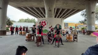 Tanuki  Bakuhatsu Taiko Dan  2024 Davis Cherry Blossom Festival Sun April 14 [upl. by Rivi]