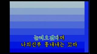 터보  검은 고양이 네로 뮤지콤 PRO1200 노래방 カラオケ [upl. by Lechar]