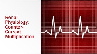 Renal Physiology CounterCurrent Multiplication [upl. by Ivy]