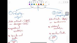 MSS pathology lab 1  part 2 [upl. by Mastrianni]