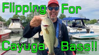 Flipping for Cayuga Lake Bass [upl. by Yssor394]