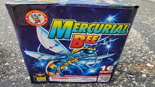 Mercurial Bee firework  Winda Fireworks [upl. by Lapotin]