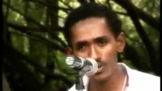 Hachalu HundessaNew Oromo Music [upl. by Athenian]