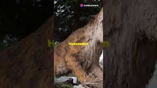 Hyaenodon The Mighty Prehistoric Predator facts wildlife animals [upl. by Mccreery29]