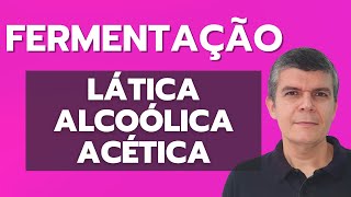 FERMENTAÇÃO LÁTICA ALCOÓLICA E ACÉTICA [upl. by Ereveneug]