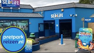 SeaLife Weymouth Engeland  SEA LIFE Centre Weymouth [upl. by Palestine]