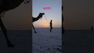 Best Sunset View in Kutch  White Desert of India  Salt desert gujarat  Rann utsav 202425 [upl. by Llejk]