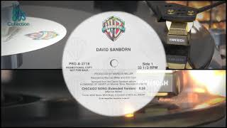 David Sanborn  Chicago Song Extended Version 12inch promo pressing 96kHz 24bit captured audio [upl. by Quigley571]