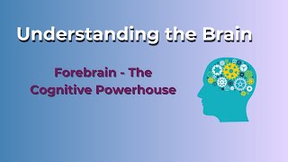 Understanding the Brain Forebrain  The Cognitive Powerhouse Power of mind [upl. by Osric931]