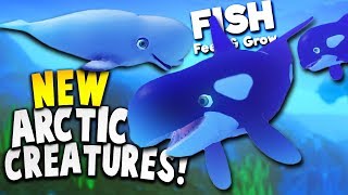 KILLER WHALE AND BELUGA IN NEW ARCTIC AREA  Feed And Grow Fish Update Gameplay [upl. by Gentes]