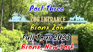 Bronx Zoo Full Tour  Bronx New York  Part Three [upl. by Eenerb]