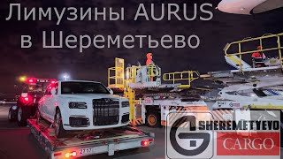 Aurus Senat Limousine в АО quotШереметьевоКаргоquot [upl. by Buiron252]