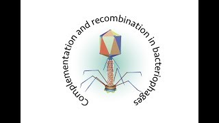 Complementation and recombination in bacteriophages [upl. by Glori750]