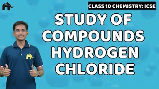 Study of Compounds Hydrogen Chloride  Class 10 ICSE Chemistry  Selina Chapter 8  HCl Preparation [upl. by Aynatahs630]