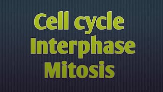 what is mitosis  Stages Of mitosis  cell cycle overview [upl. by Yroggerg]