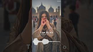 Tum Hi Ho  Slowed and Reverb Music  Ashiqi 2 [upl. by Milburn914]