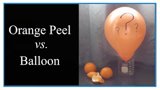 Orange Peel vs Balloon Caution Balloons pop 💥 🎈🎈🎈 💥 in this Video [upl. by Heddi]