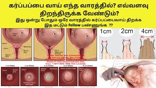 cervix dilation chart in tamil symptoms of cervix opening during pregnancycervix dilation symptoms [upl. by De Witt]