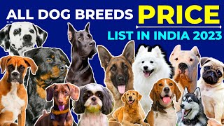 All Dog Breeds And Their Price 2024  German Shepherd  Rottweiler  Labrador  Pug  Beagle  Husky [upl. by Gowrie651]