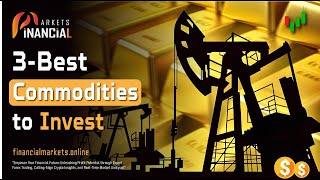 3 Best Commodities To Invest  What Is Commodity Investing [upl. by Aidnama]