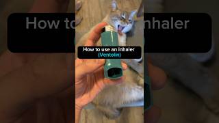 How to use an inhaler Ventolin pharmacist inhaler asthma technique healthandwellness [upl. by Camala502]