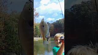 Pond Fishing For Huge Bream thefishlessfishermen [upl. by Klemm744]