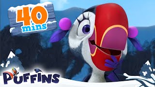 Puffins  40 min  Puffin Laughs  Cartoon For Kids  Puffins World [upl. by Maillliw]