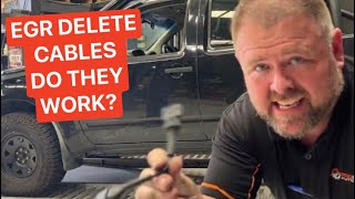 EGR Delete Cables  Are they worth buying What do they actually do [upl. by Assennej]