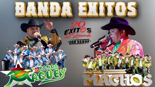 PURAS BANDA ROMANTICAS DEL RECUERDO  BANDA MAGUEY VS BANDA MACHOS 🎉 [upl. by Turmel]