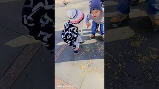 Yem verdik kuşlara🐦🐤shortvideo cutebaby [upl. by Lac514]