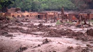 Dam collapse creates environmental disaster in Brazil [upl. by Harvie]